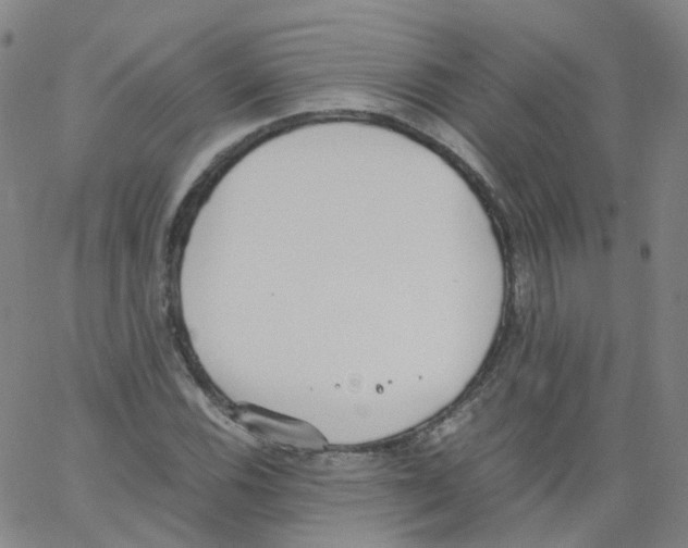 X0000062901116200602101800