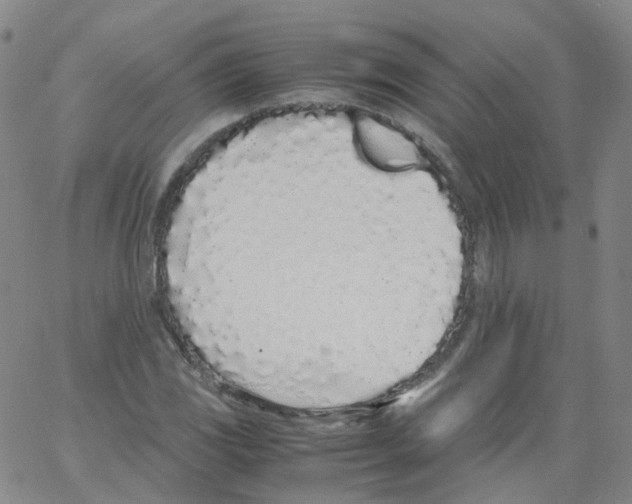 X0000062901117200602101800