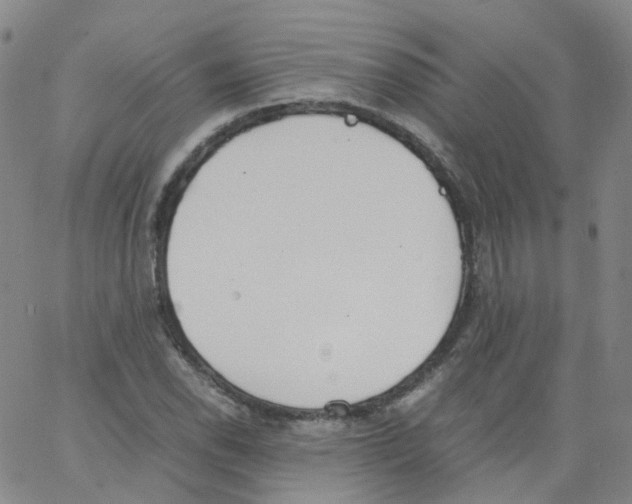 X0000062901118200602101800