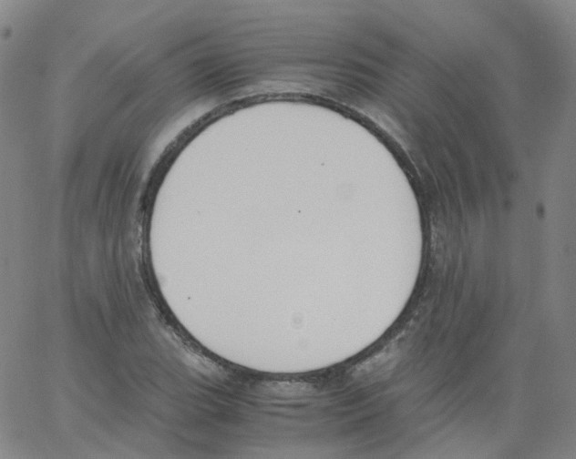 X0000062901119200602101800