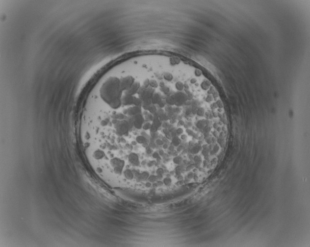 X0000062901120200602101800