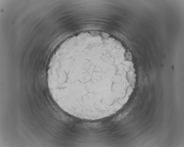 X0000062901121200602101800