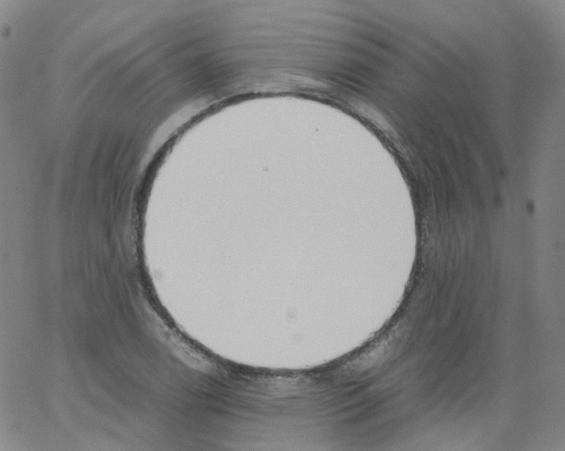 X0000062901122200602101800