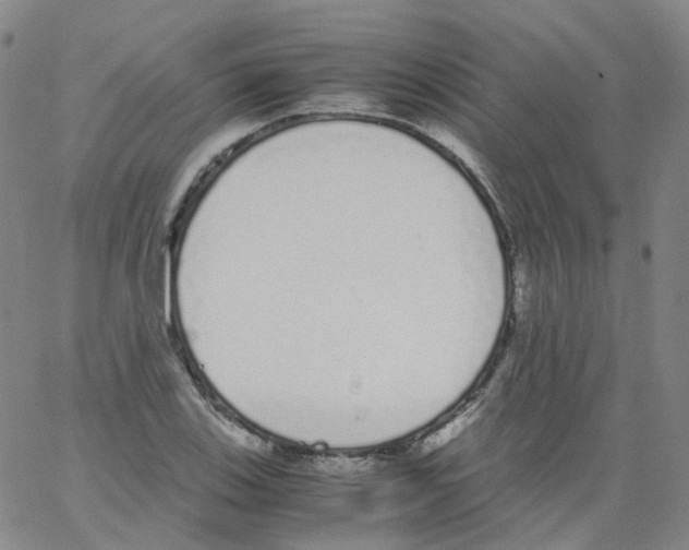 X0000062901123200602101800