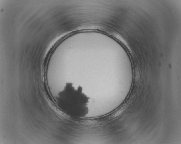 X0000062901124200602101800