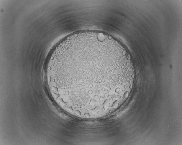 X0000062901125200602101800