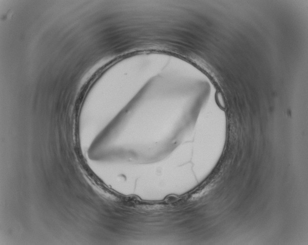 X0000062901127200602101800