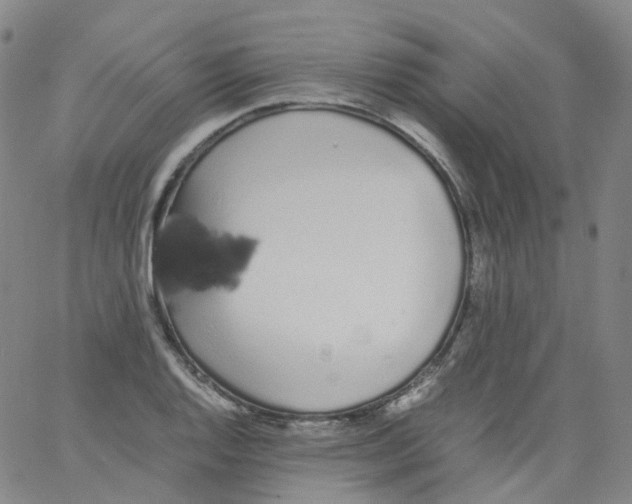 X0000062901128200602101800