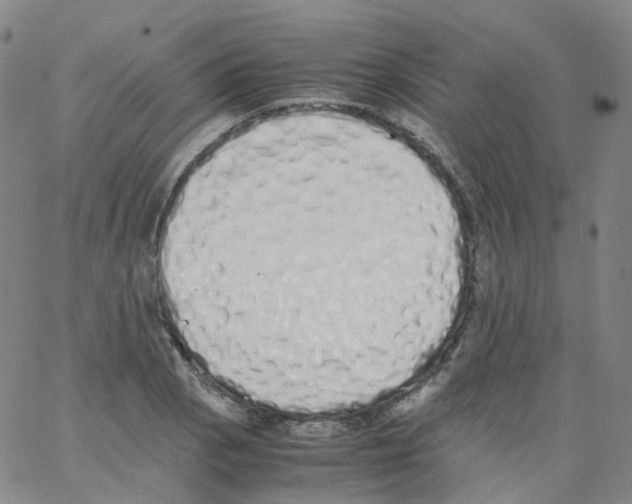 X0000062901129200602101800