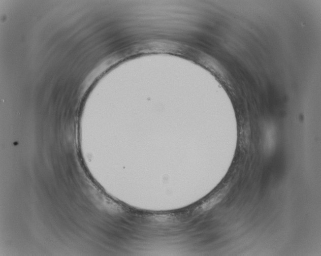 X0000062901130200602101800