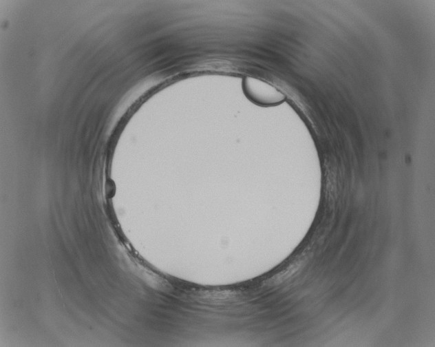 X0000062901131200602101800