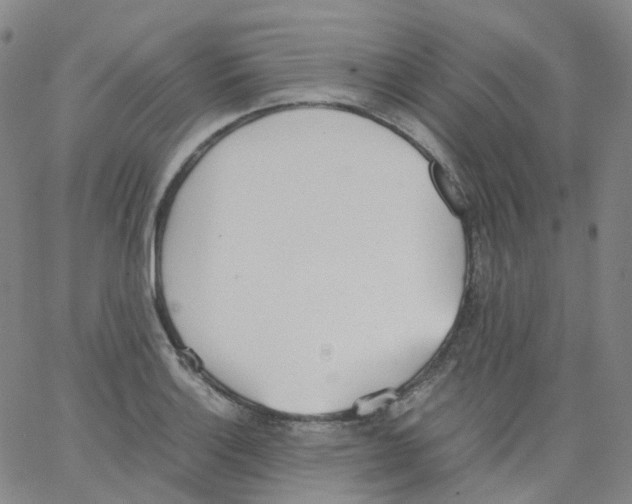 X0000062901132200602101800