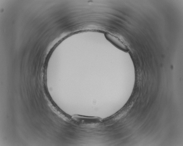 X0000062901134200602101800