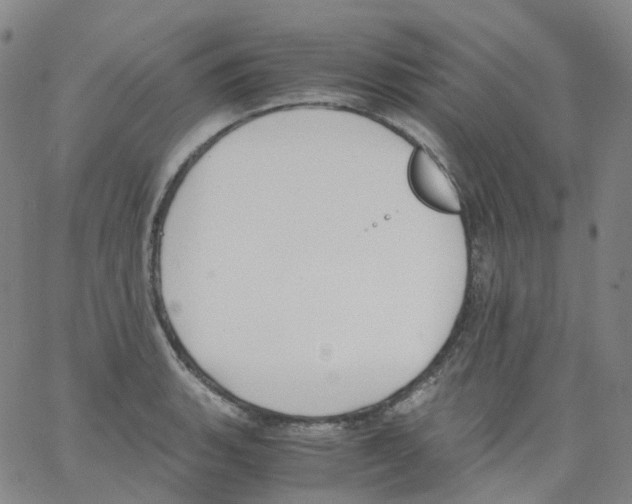 X0000062901135200602101800