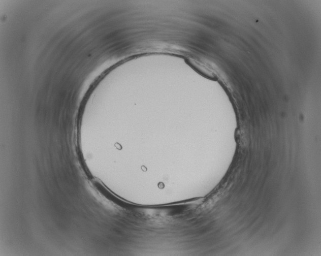 X0000062901136200602101800