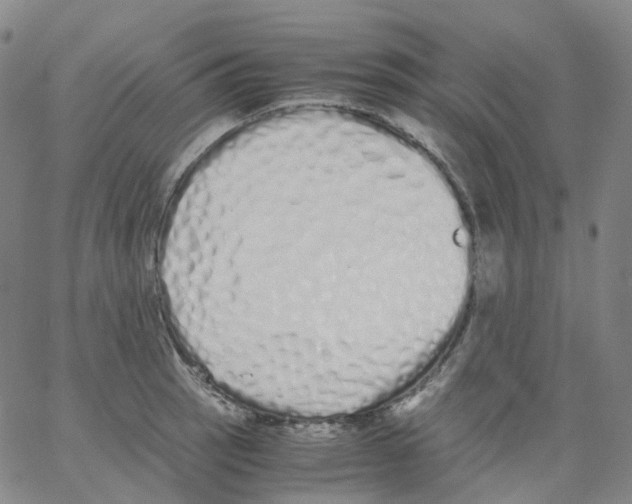 X0000062901137200602101800