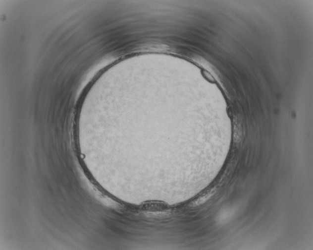 X0000062901139200602101800