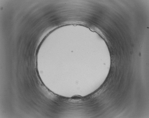 X0000062901140200602101800