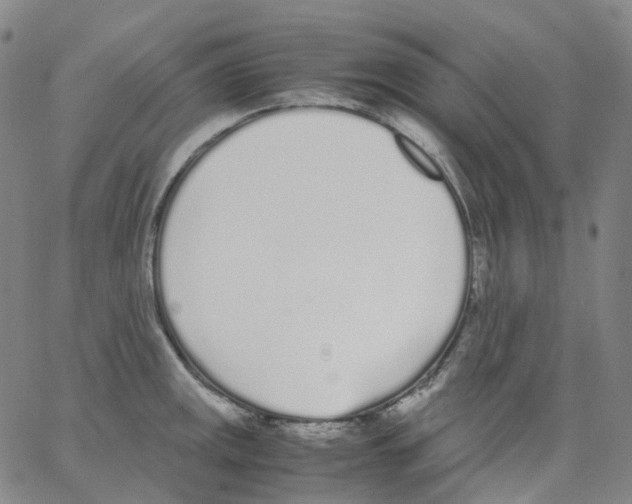 X0000062901141200602101800