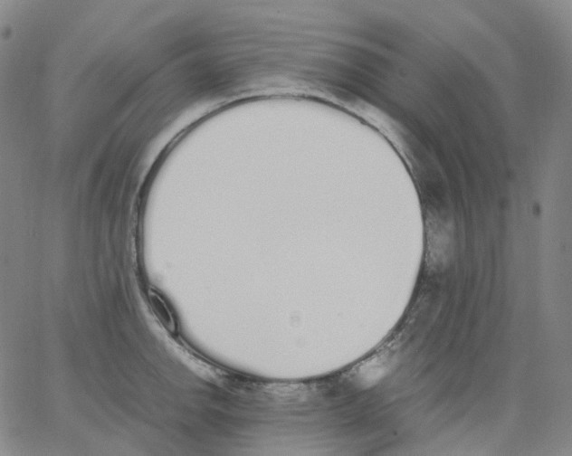 X0000062901142200602101800