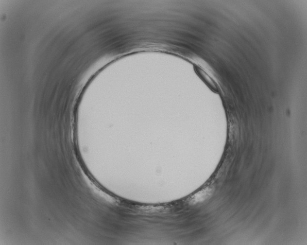 X0000062901143200602101800