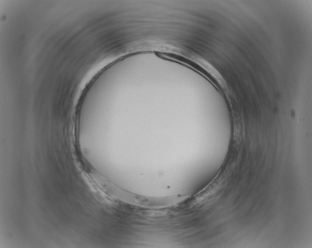 X0000062901144200602101800