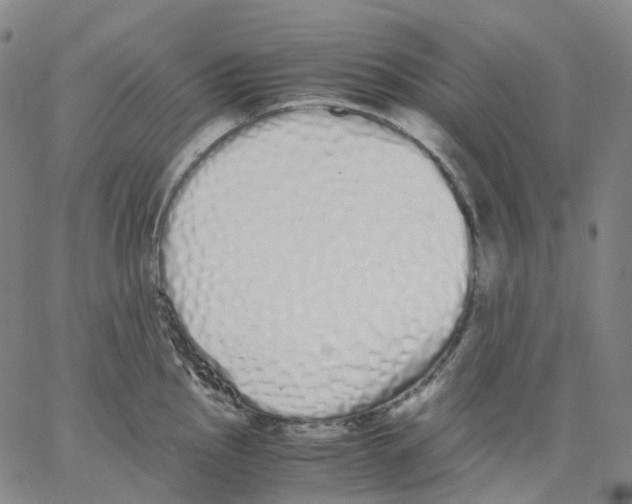 X0000062901145200602101800