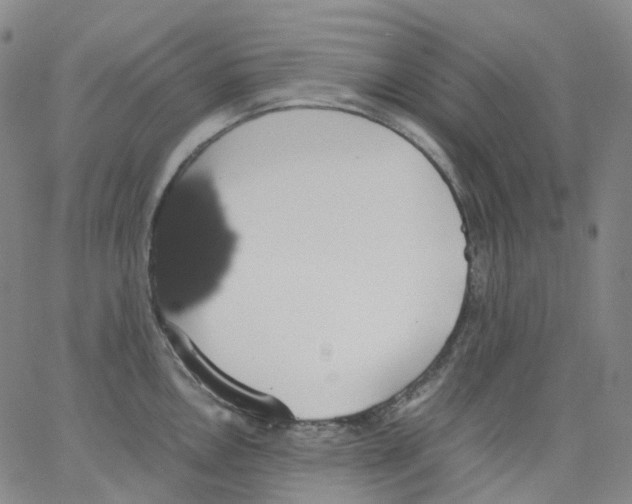 X0000062901146200602101800