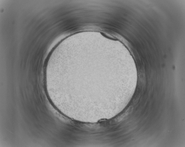 X0000062901147200602101800