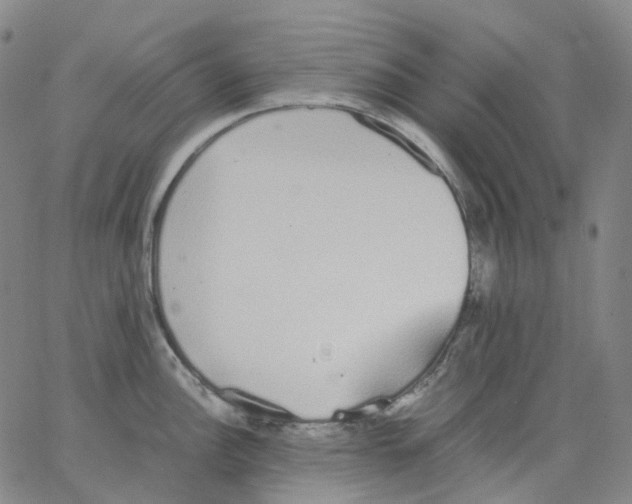 X0000062901148200602101800