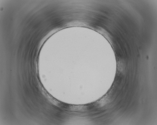 X0000062901150200602101800