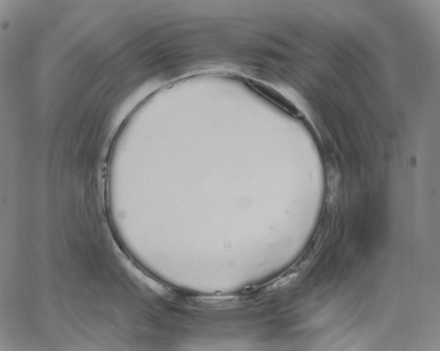 X0000062901151200602101800