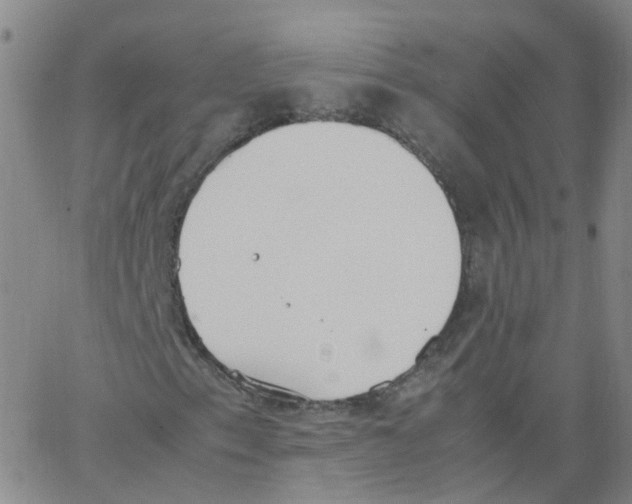 X0000062901153200602101759