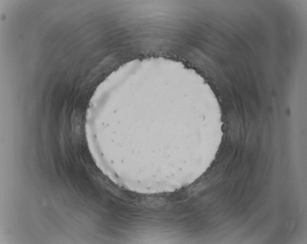 X0000062901154200602101759