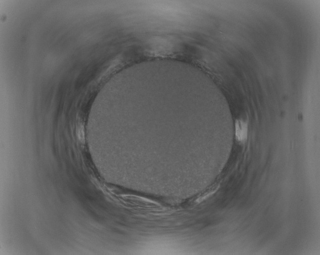 X0000062901155200602101759