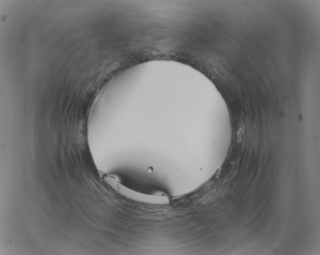 X0000062901156200602101759