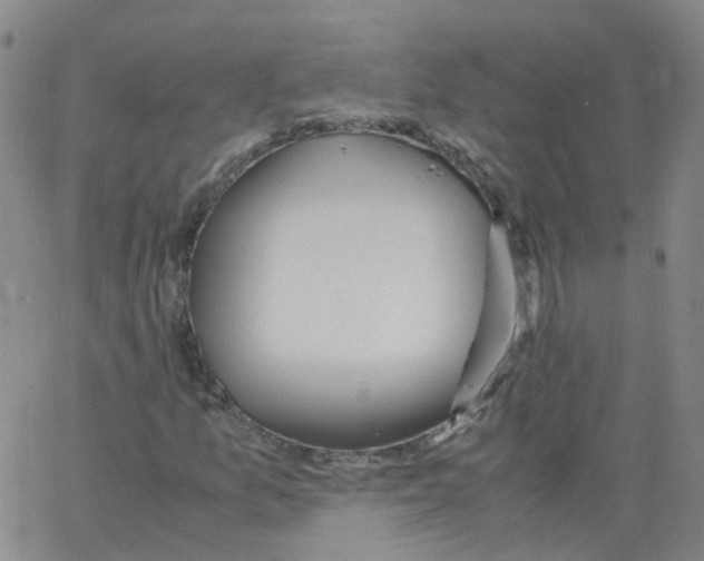 X0000062901157200602101759