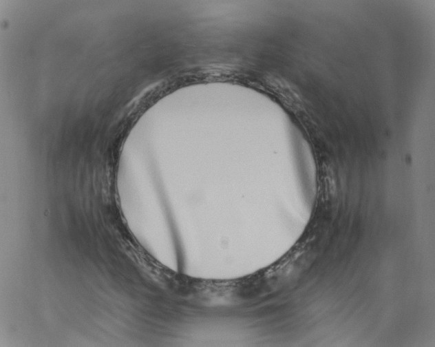 X0000062901158200602101759