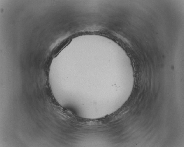 X0000062901160200602101759