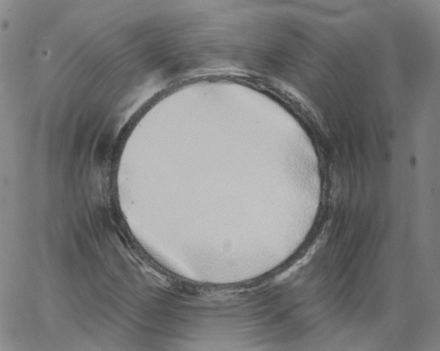 X0000062901162200602101759