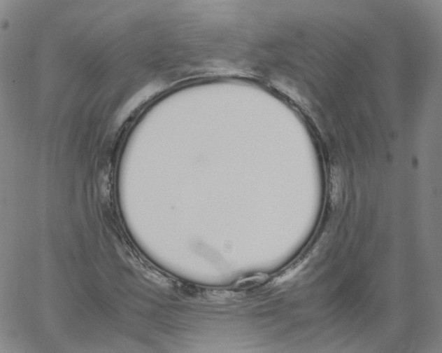 X0000062901163200602101759