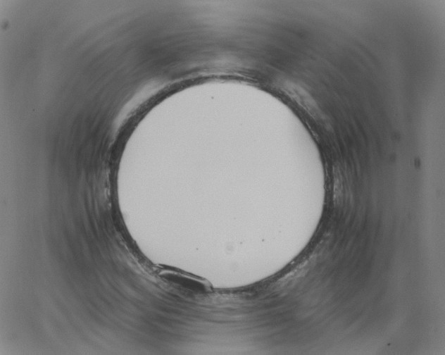 X0000062901164200602101759