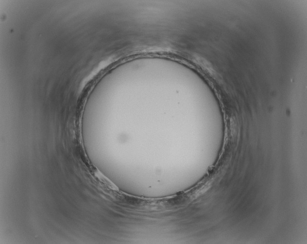 X0000062901165200602101759