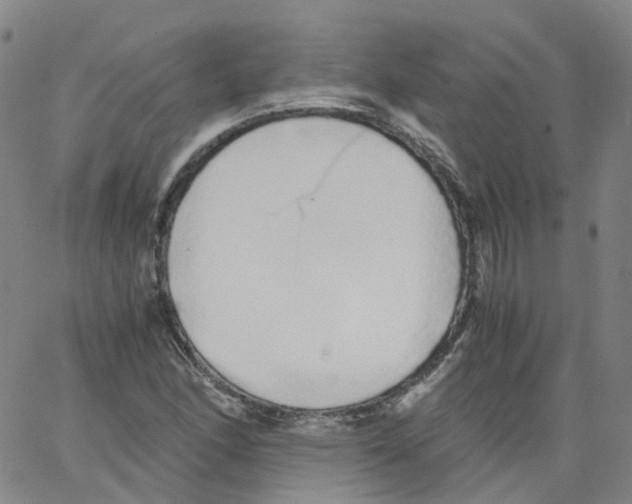 X0000062901166200602101759