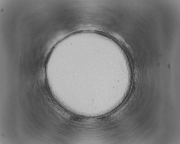 X0000062901167200602101759