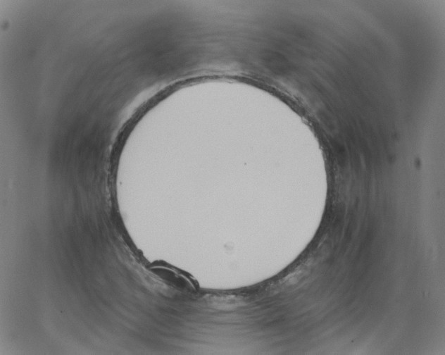 X0000062901168200602101759