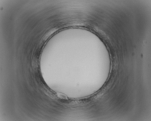 X0000062901169200602101759