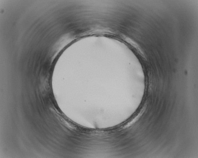 X0000062901170200602101759