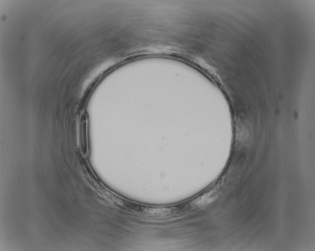 X0000062901171200602101759