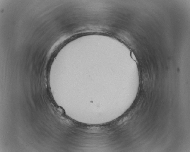 X0000062901172200602101759